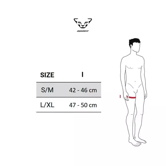 Chaussettes De Compression Dynafit Performance Bleu 4 Chaussettes De Compression Dynafit Performance Bleu – Image 2